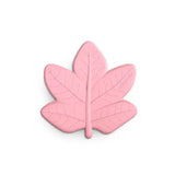 Suavinex Mordedor Folha do Bosque +0m